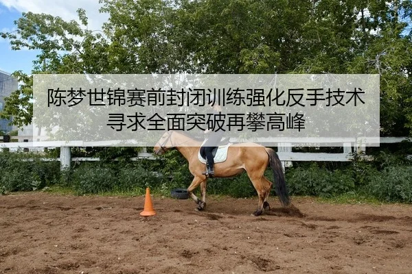 陈梦世锦赛前封闭训练强化反手技术 寻求全面突破再攀高峰